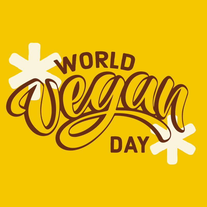 Nf Brandtoolkit Elements 6 Copy 4