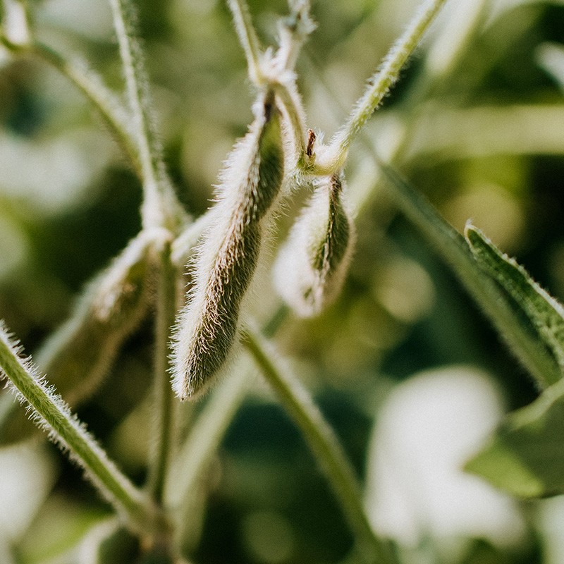 Kelly Sikkema 1 800x1200